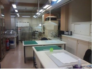 Laboratório de restauração da FBN (Foto: Thiago Cirne)