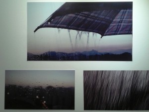 A importância da chuva. Foto: Luciana Rodrigues/Revista Biblioo 