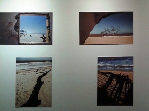 Lugares secos e de praia. Foto: Luciana Rodrigues/Revista Biblioo 