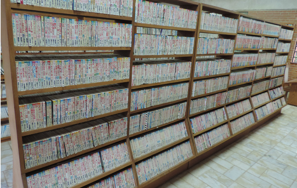Dos 74 mil livros, cerca de 70% são mangás, afirma administrador. Foto: Caio Gomes Silveira / G1