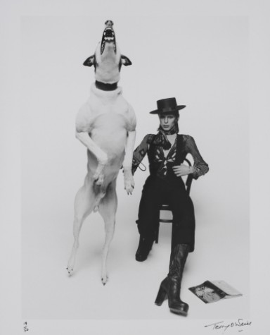 Copyright - David Bowie - Diamond Dogs (1974) Terry O'Neill - MIS / Divulgação - The David Bowie Archive 2012 © V&A Images